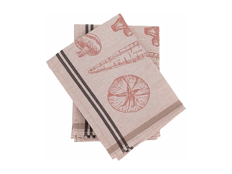 Lot de 2 torchons de cuisine toile VEG 50x70 cm rouge Brique