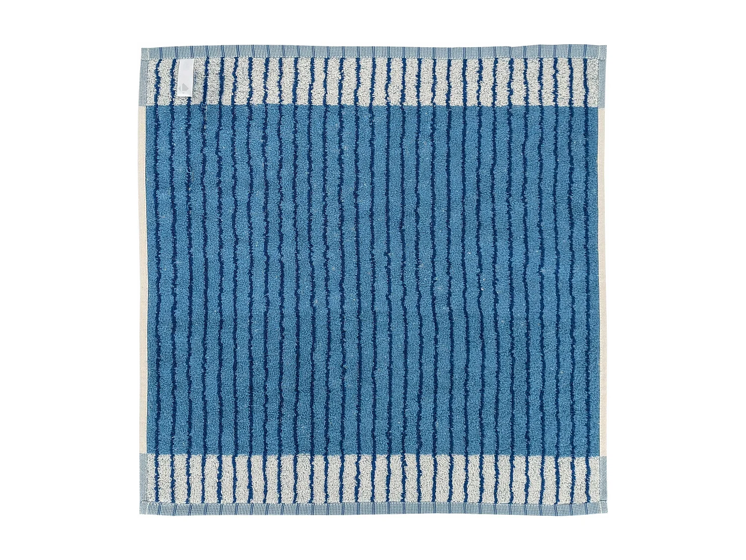 Lot de 2 torchons de cuisine éponge TERRA 50x50 cm à rayures bleu