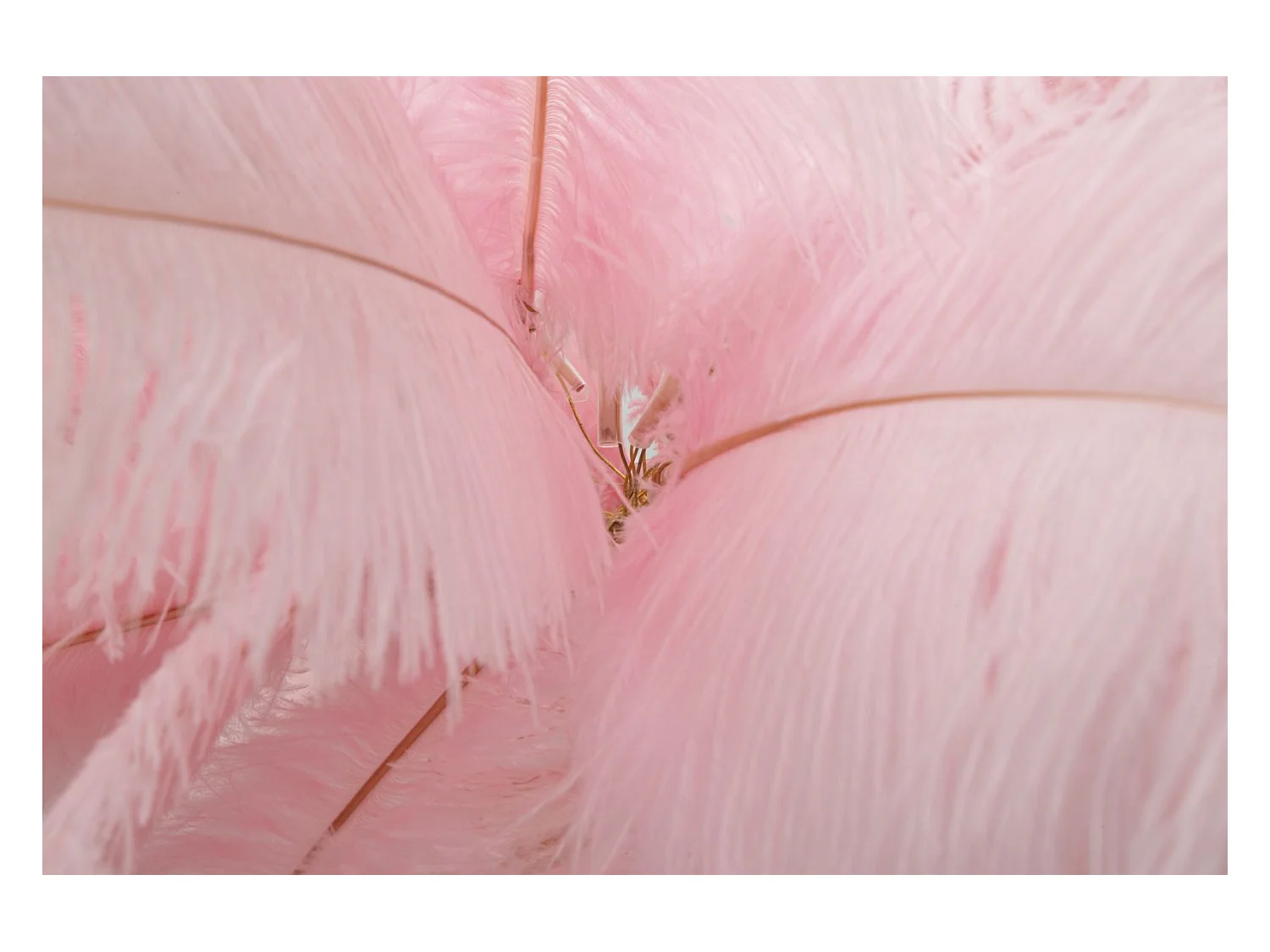 ROZE PALM VLOERLAMP CM Ø 55X160
