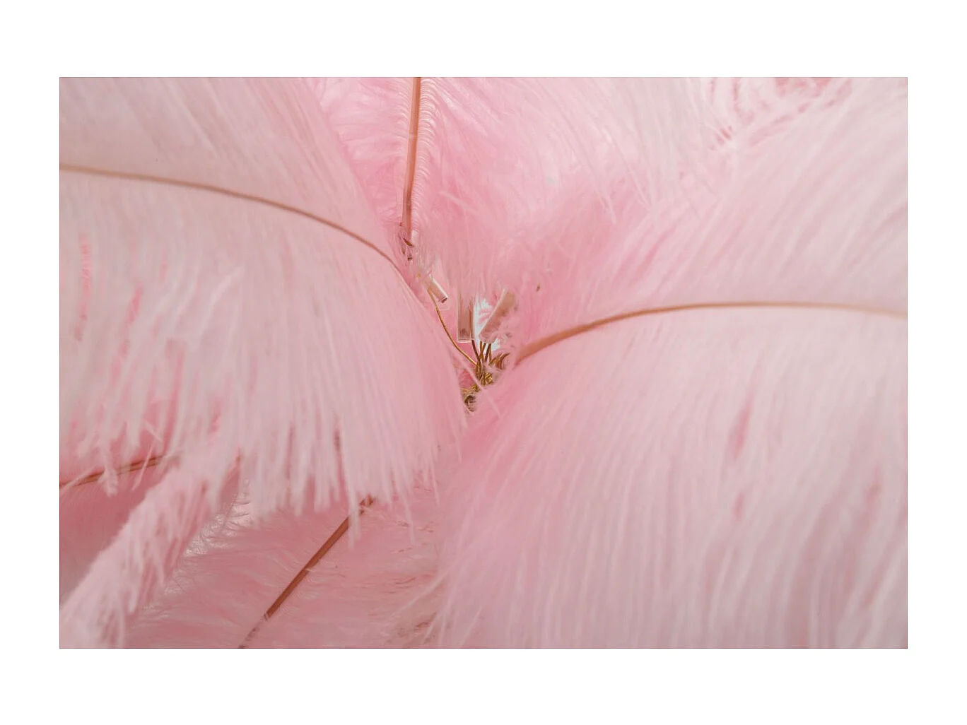 Lampadaire Imitation Plume "Palm" 160cm Or & Rose