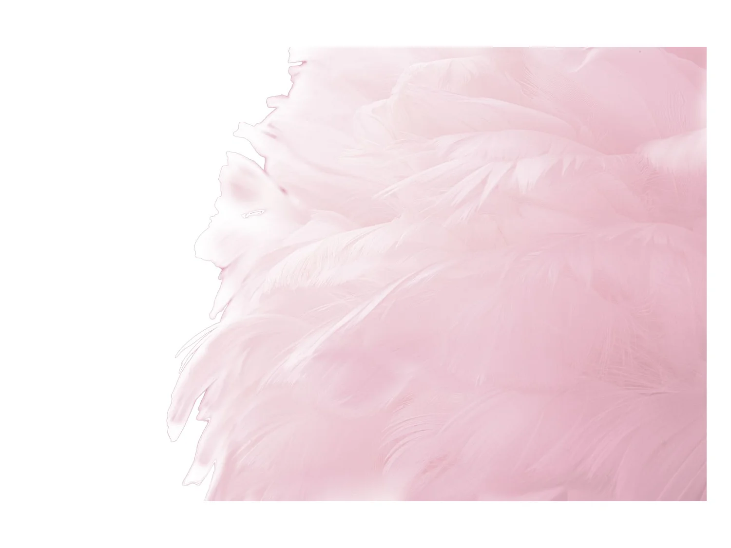 SLANKE ROZE VLOERLAMP CM Ø 50X165