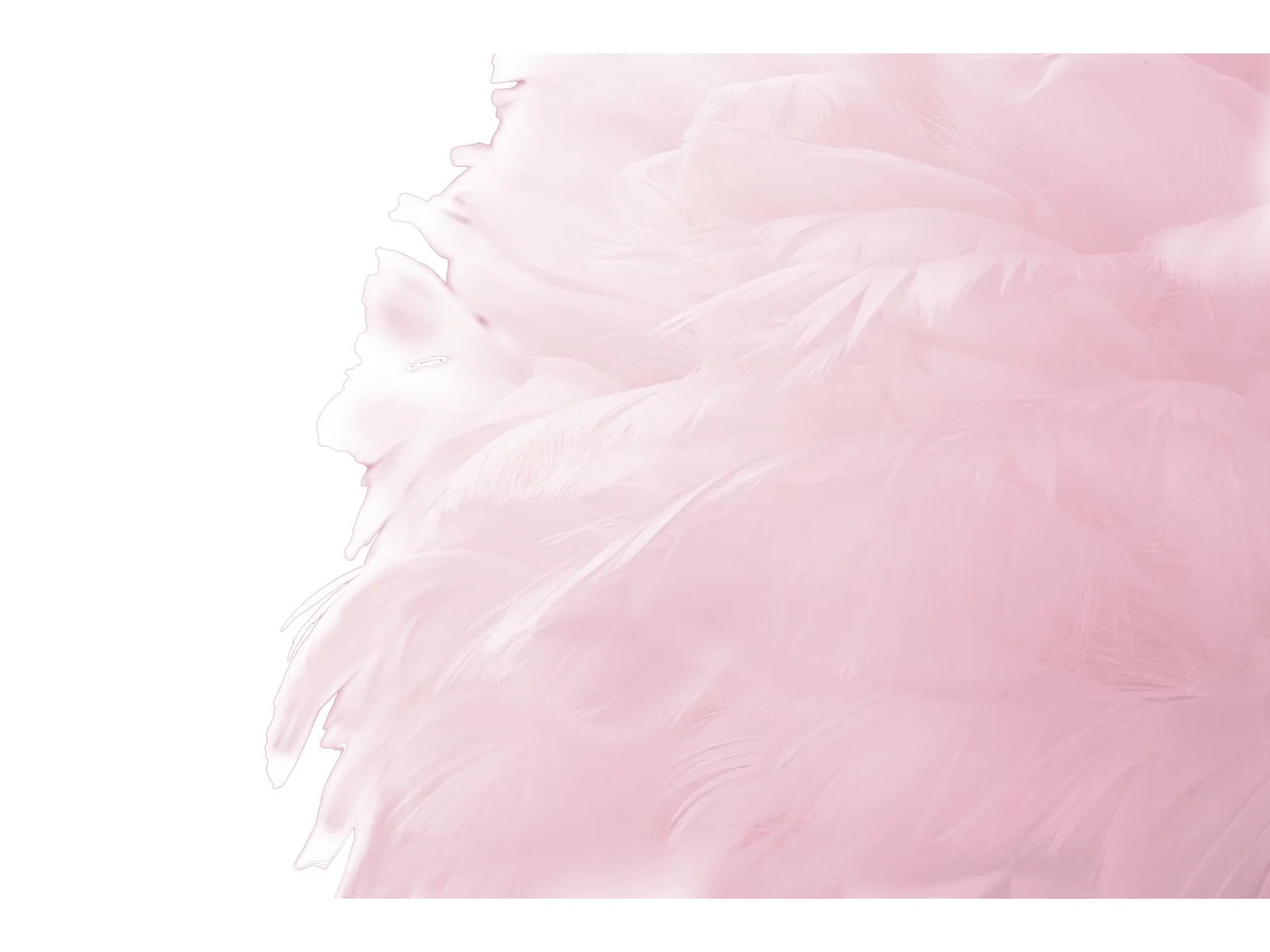 Lampadaire Imitation Plume "Slim" 165cm Or & Rose