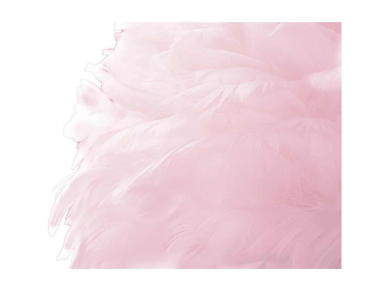 Lampadaire Imitation Plume "Slim" 165cm Or & Rose