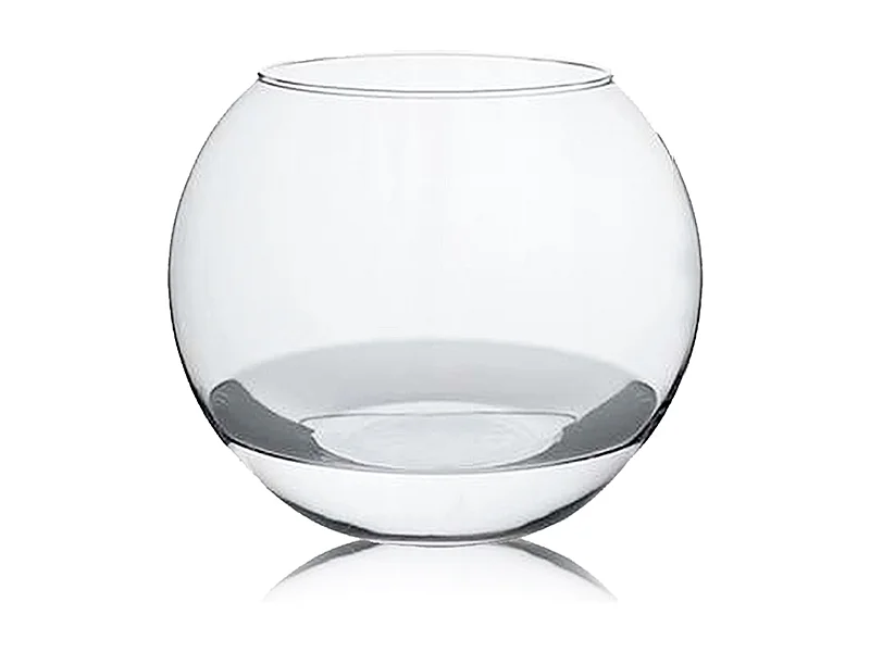 Lot de 2 aquariums boule vase en verre - Diamètre 23.9 x Hauteur 20 cm.