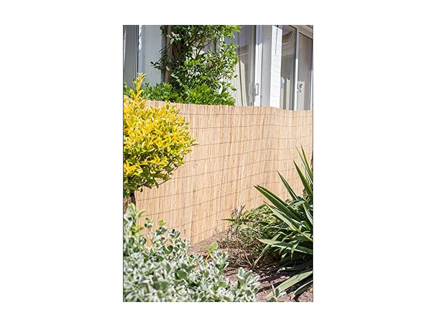 Canisse en bambou, clôture de jardin, couverture de protection contre le vent et le soleil - Longueur 500 x Profondeur 120 cm
