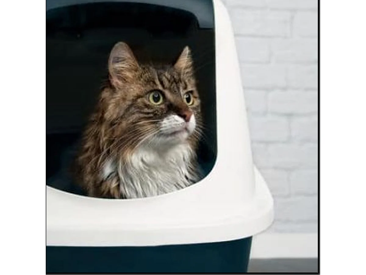 Maison de toilette pour chat, bac à litière avec couvercle coloris gris - Longueur 57 x Profondeur 39 x Hauteur 41 cm