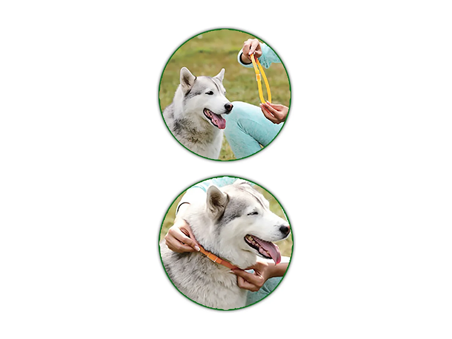 Collier anti-puces et anti-tiques pour chiens, collier anti-parasitaire, résistant à l’eau jusqu'à 4 mois de protection-antiparasitaire , taille S - 33 cm