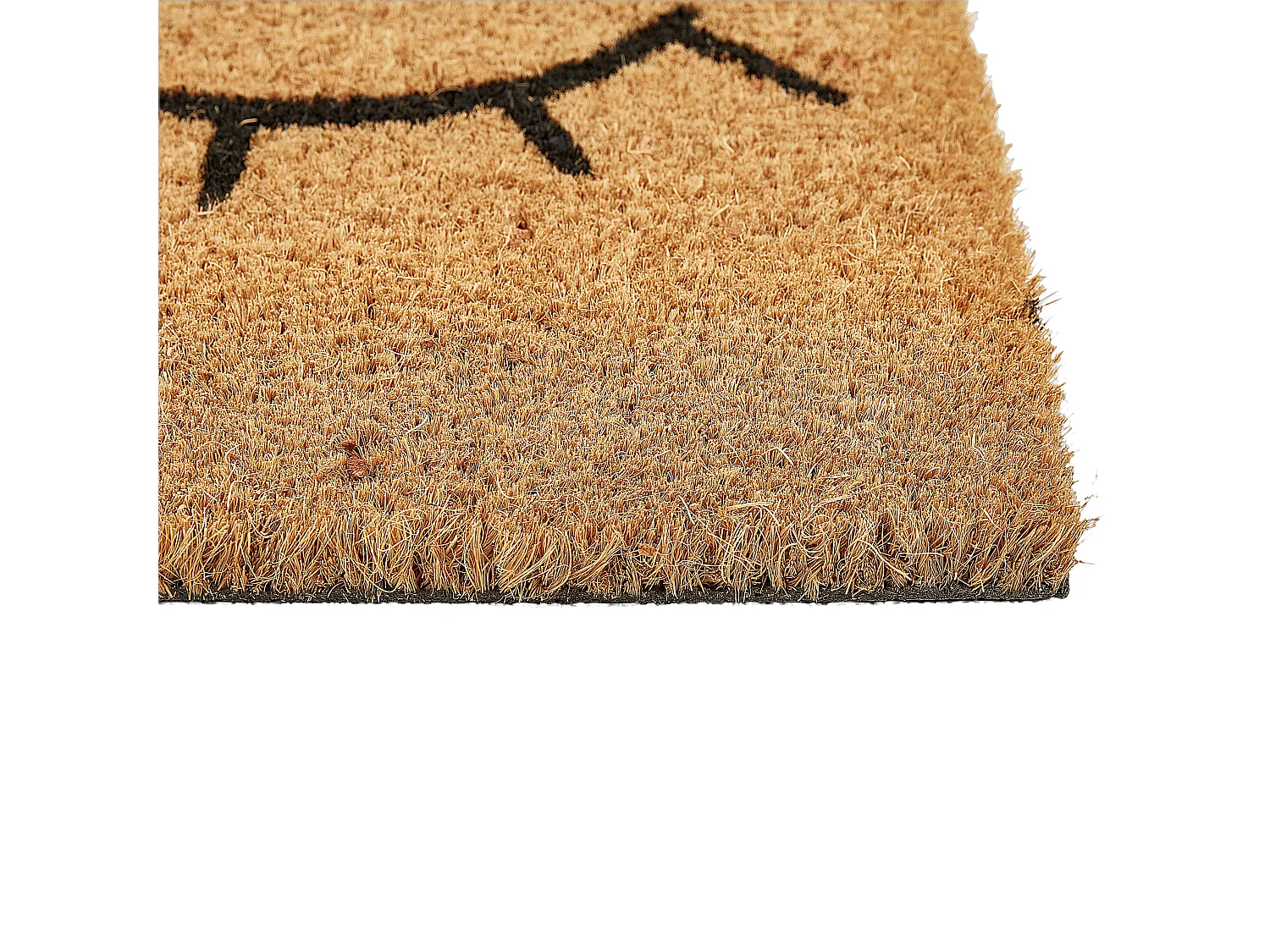 Fussmatte TAPULAO 40 x 60 cm Kokosfasern Naturfarben