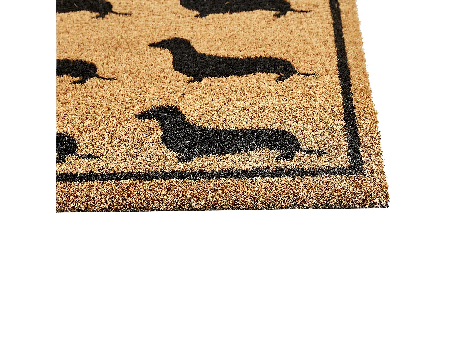 Wycieraczka SIKARAM 40 x 60 cm Włókno kokosowe Naturalny