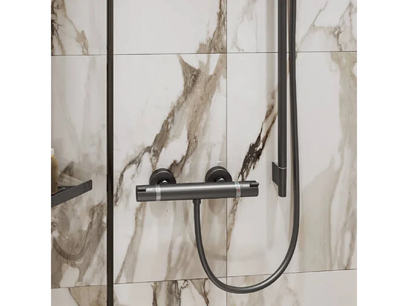 Mitigeur douche thermostatique HANSGROHE Ecostat Comfort noir chromé brossé + Nettoyant Briochin