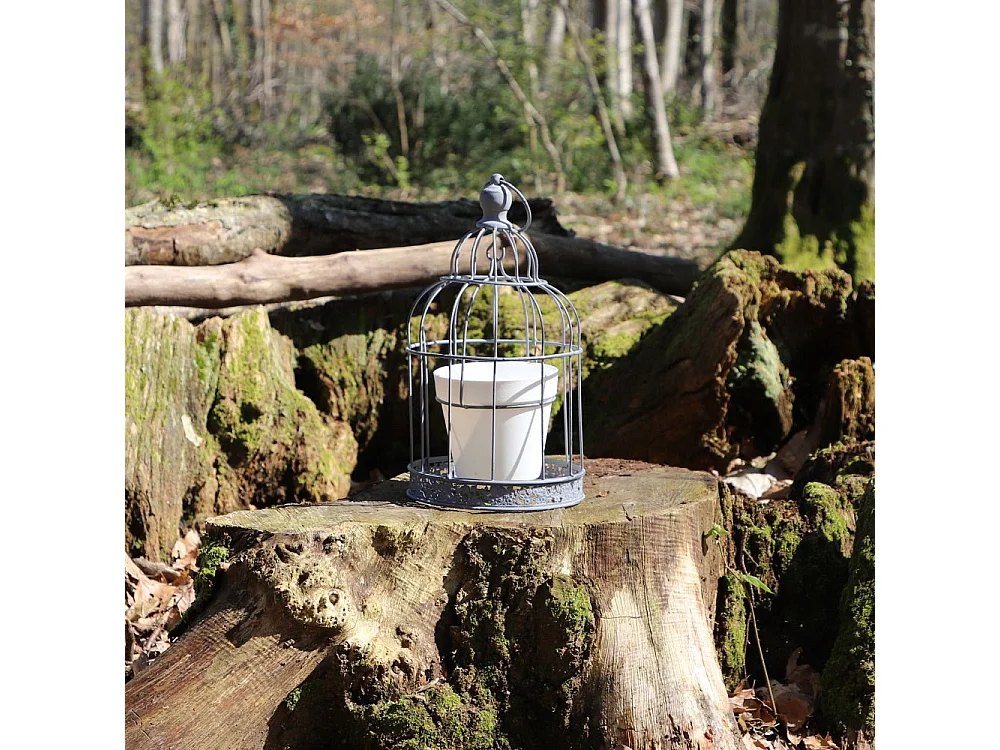 Cage à oiseaux décorative ancienne porte-plantes métal gris 35cm