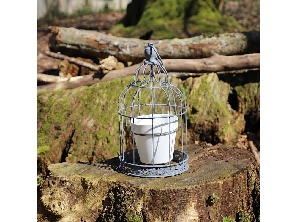 Cage à oiseaux décorative ancienne porte-plantes métal gris 35cm