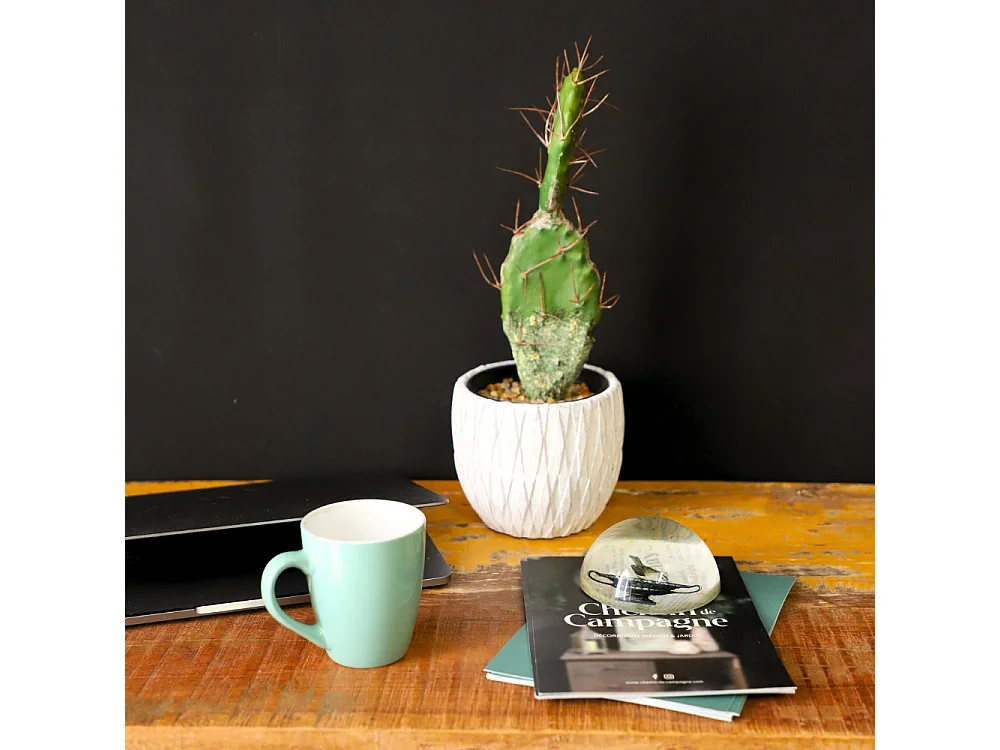 Presse papier sulfure en verre gris Ø.10 cm