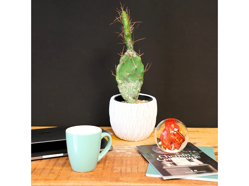 Presse papier sulfure "Tourbillons" en verre rouge Ø.10 cm