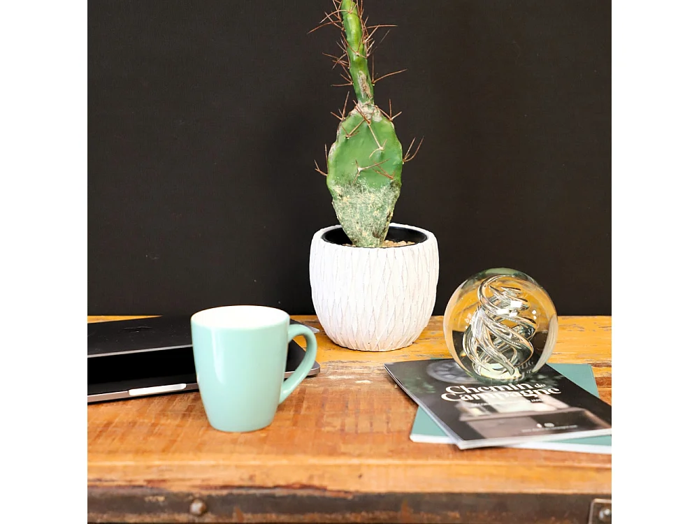 Presse papier sulfure "Flammes" en verre transparent Ø.9.5 cm