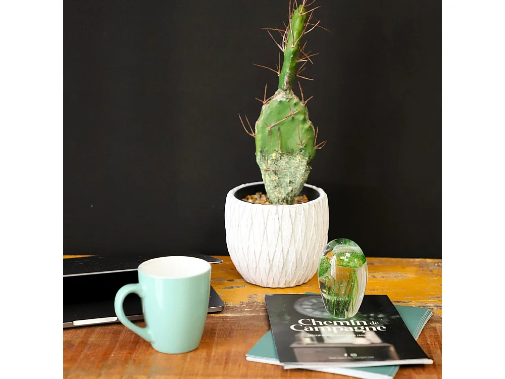 Presse papier sulfure "Méduses" en verre vert 9 x 6 cm