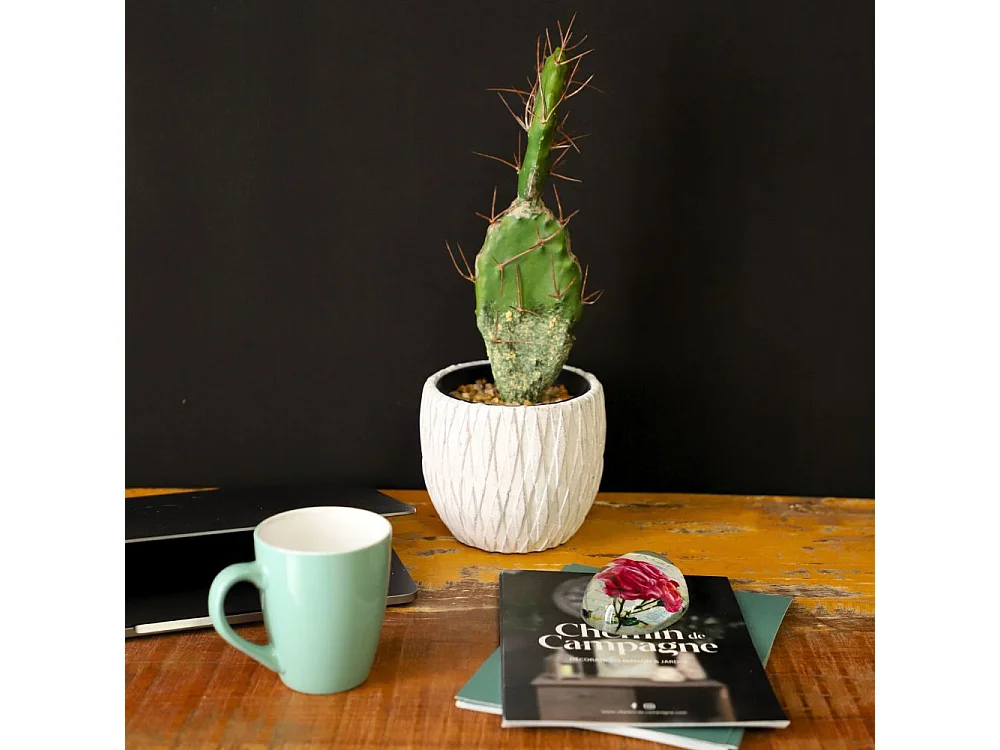 Presse papier sulfure en verre multicolores 9 x 6 x 3 cm