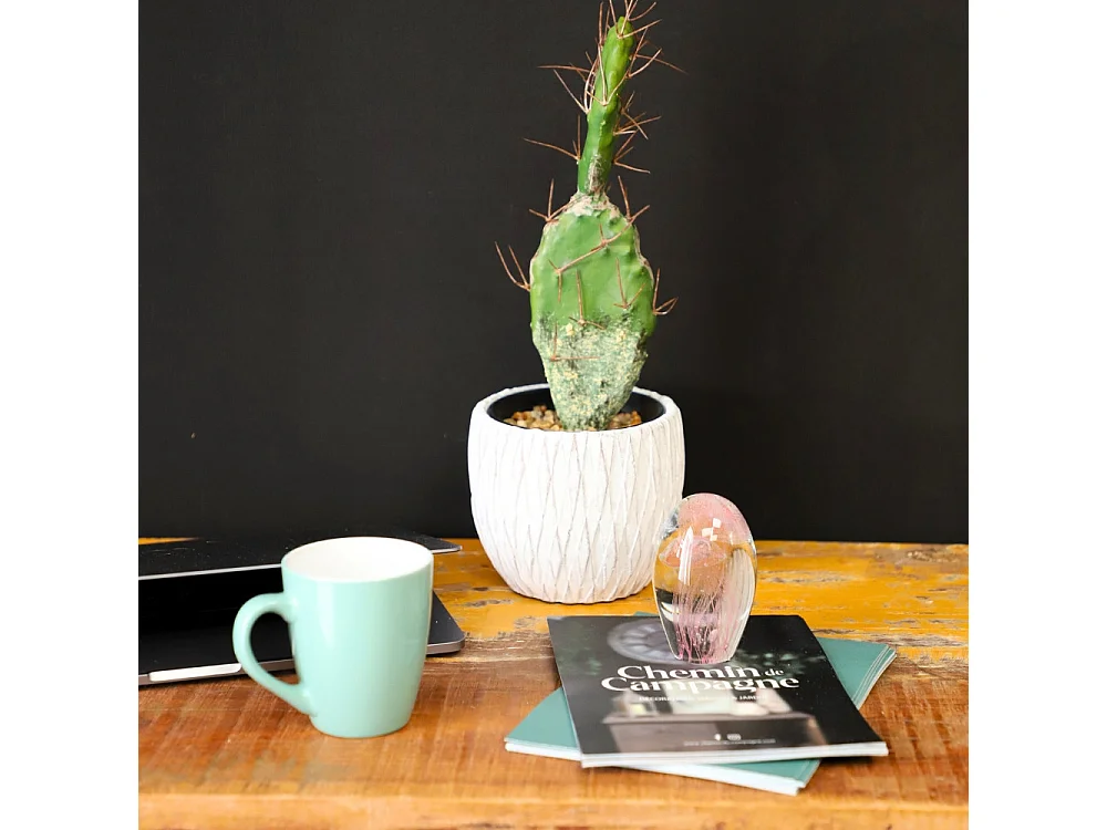 Presse papier sulfure "Méduses" en verre rose 11 x 7 cm