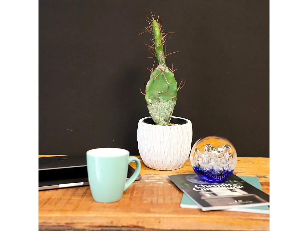 Presse papier sulfure "Océan" en verre bleu Ø.8 cm