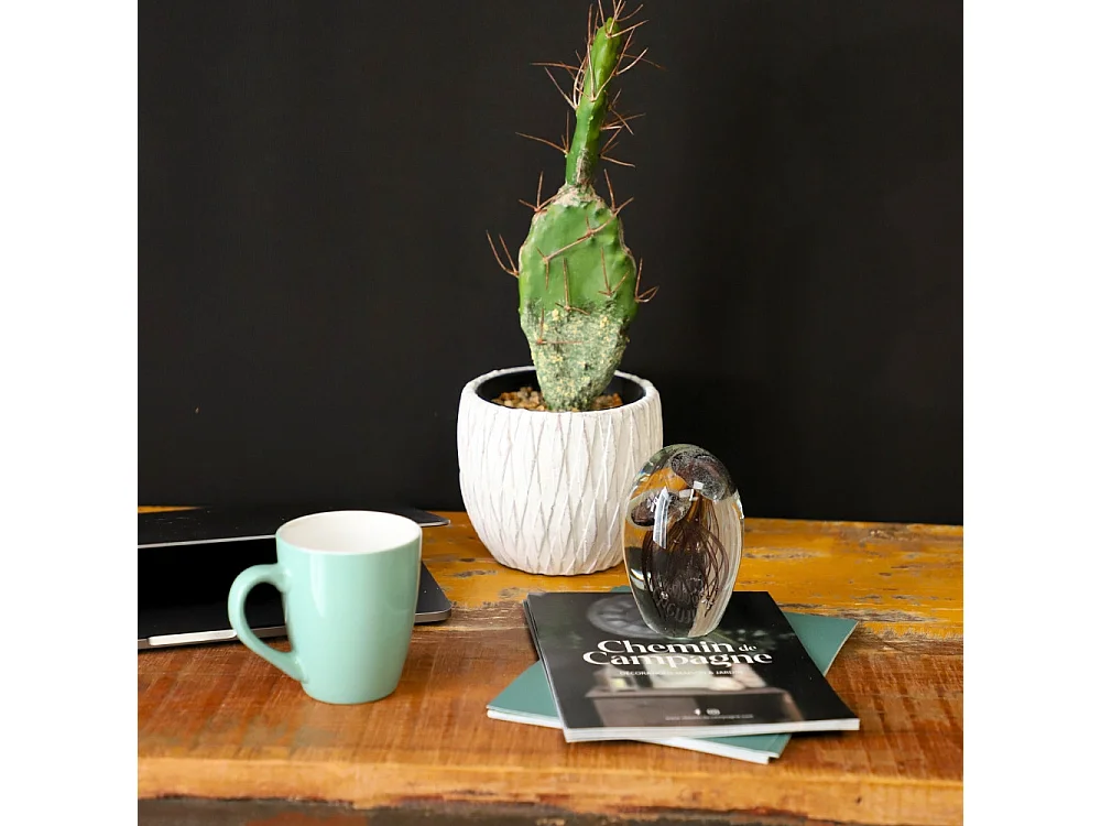 Presse papier sulfure "Méduses" en verre noir 10 x 7 cm