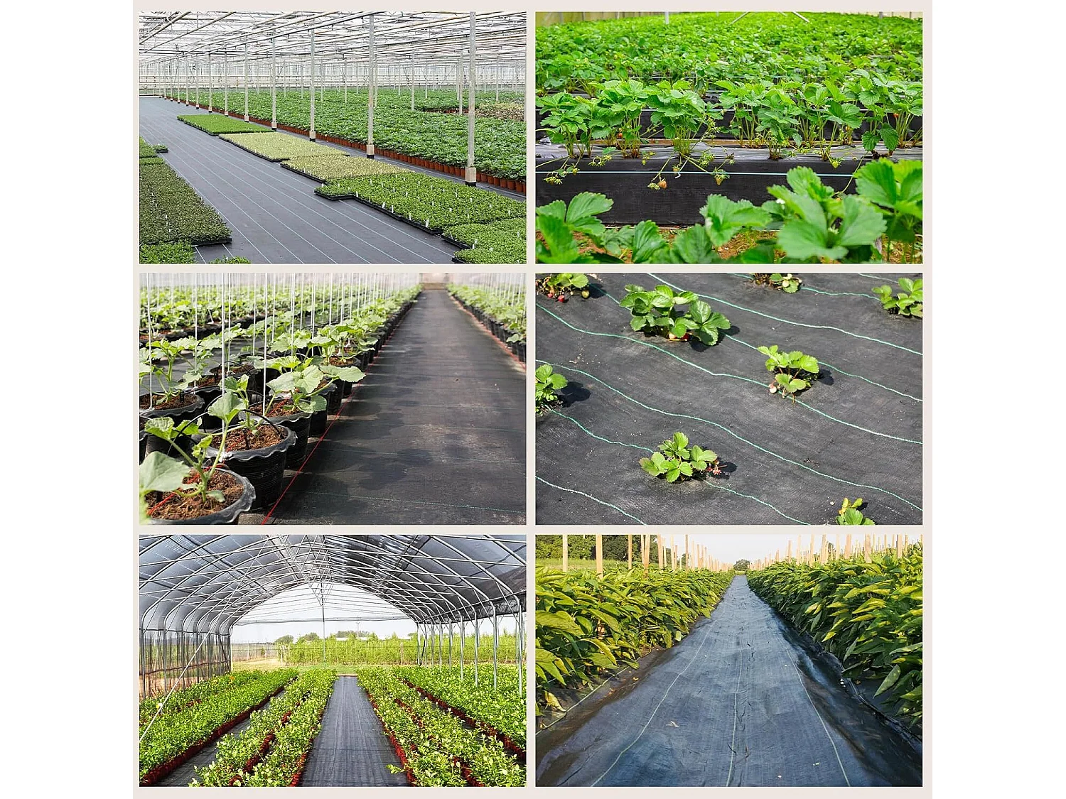 Membrane de contrôle des mauvaises herbes 4mx25m - toile de paillage pour serre - couvre-sol désherbant - anti UV perméable à l'eau