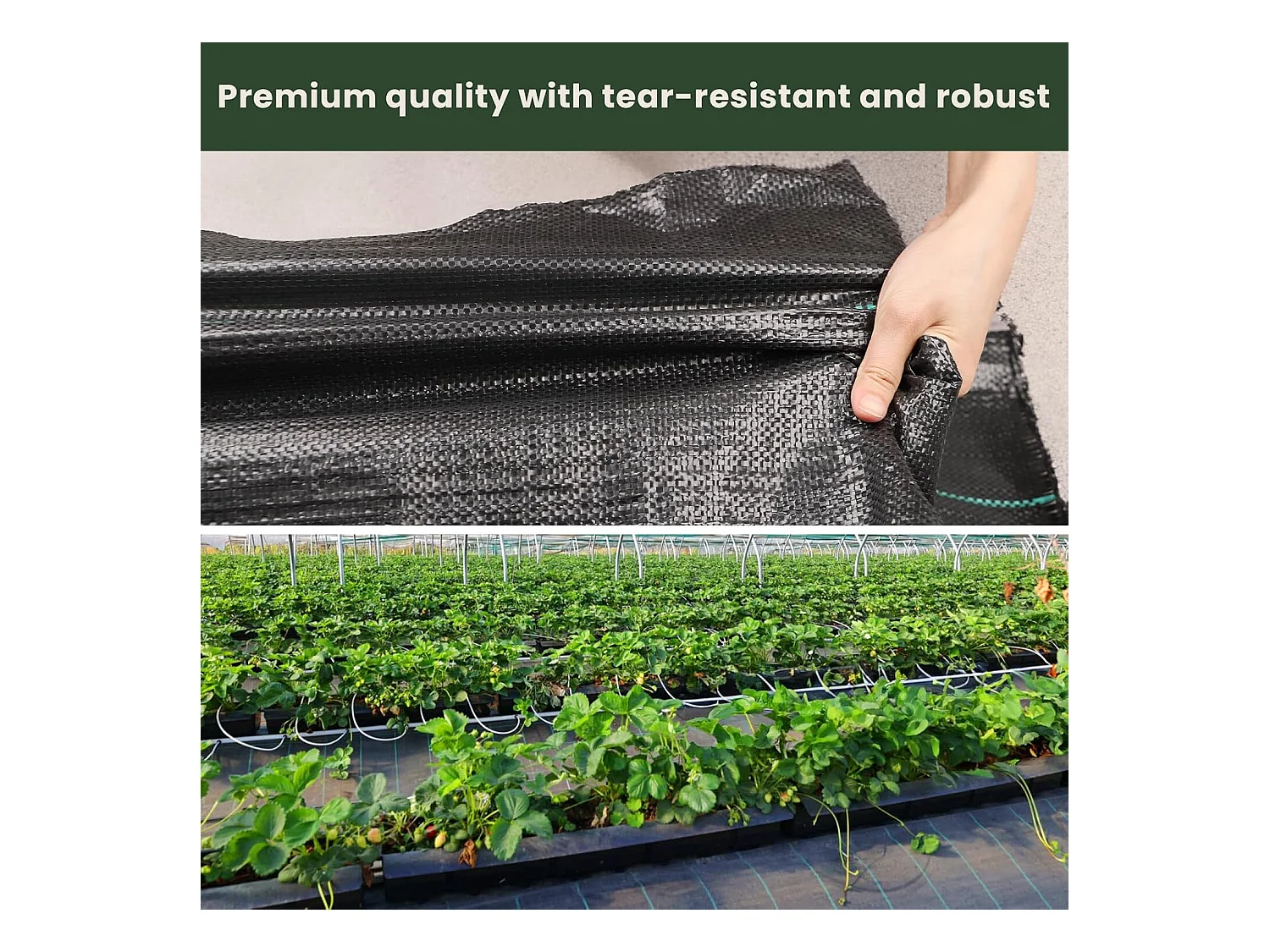 Toile de paillage - Membrane anti-mauvaises herbes pour serre - Barriere Anti Racine - Tissu Perméable à l'eau - 3x25M