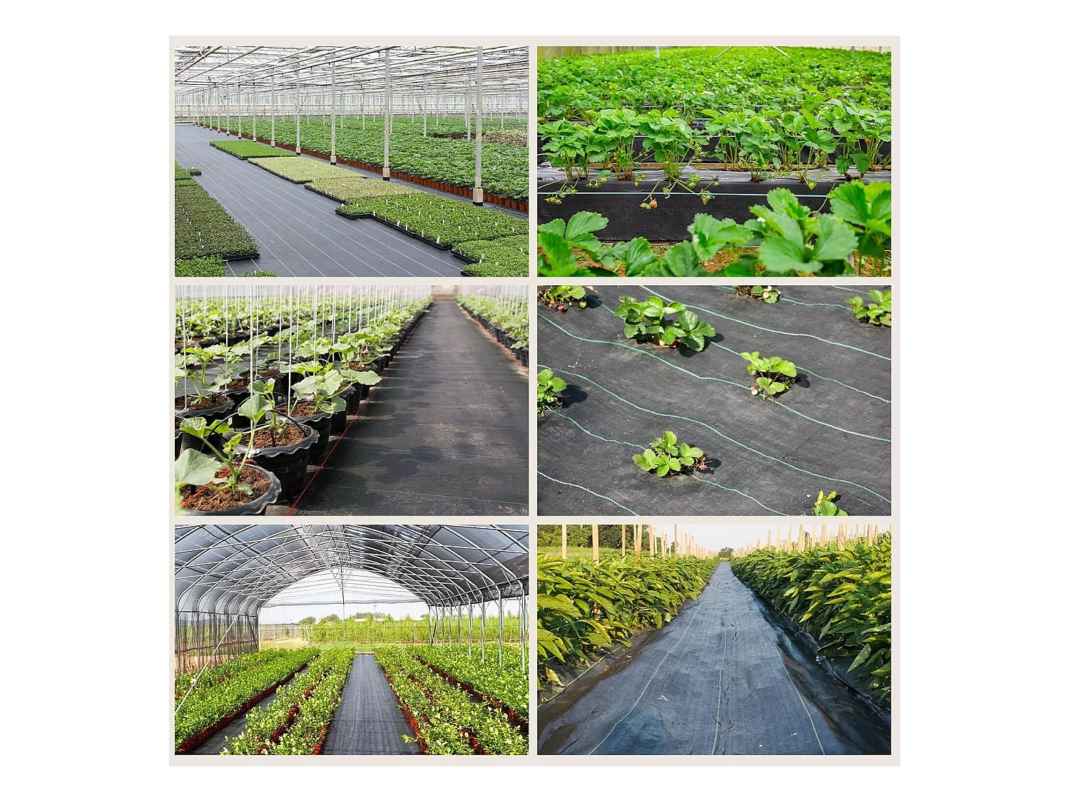 Toile de paillage - Membrane anti-mauvaises herbes pour serre - Barriere Anti Racine - Tissu Perméable à l'eau - 3x25M