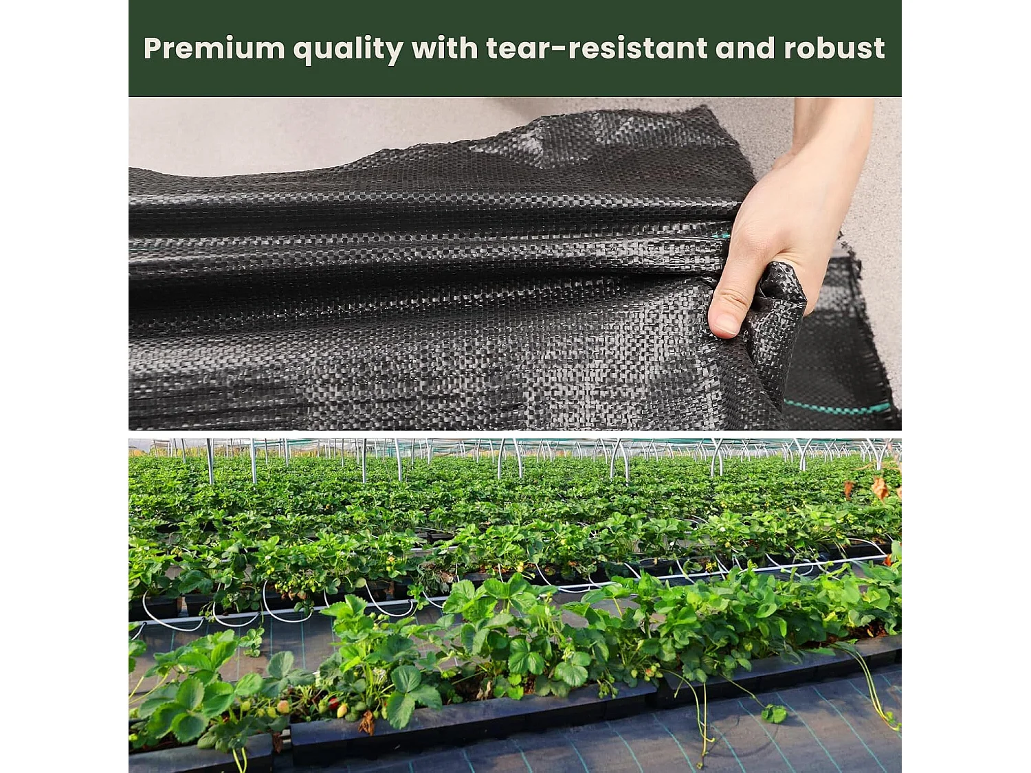 Toile anti mauvaises herbes 3x10m pour une utilisation dans les patios, jardins, parterres de fleurs, aménagement paysager