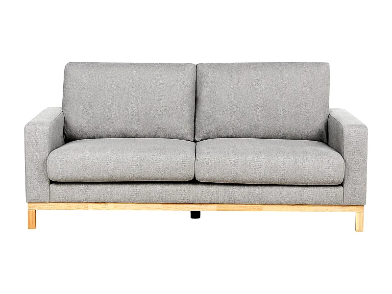 Canapé 2 places SIGGARD Tissu Gris