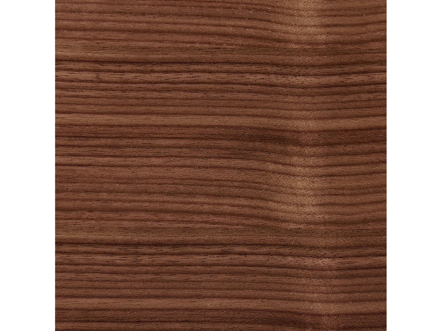 Lot de 2 chaises de salle à manger LUCINDA Bois Marron foncé