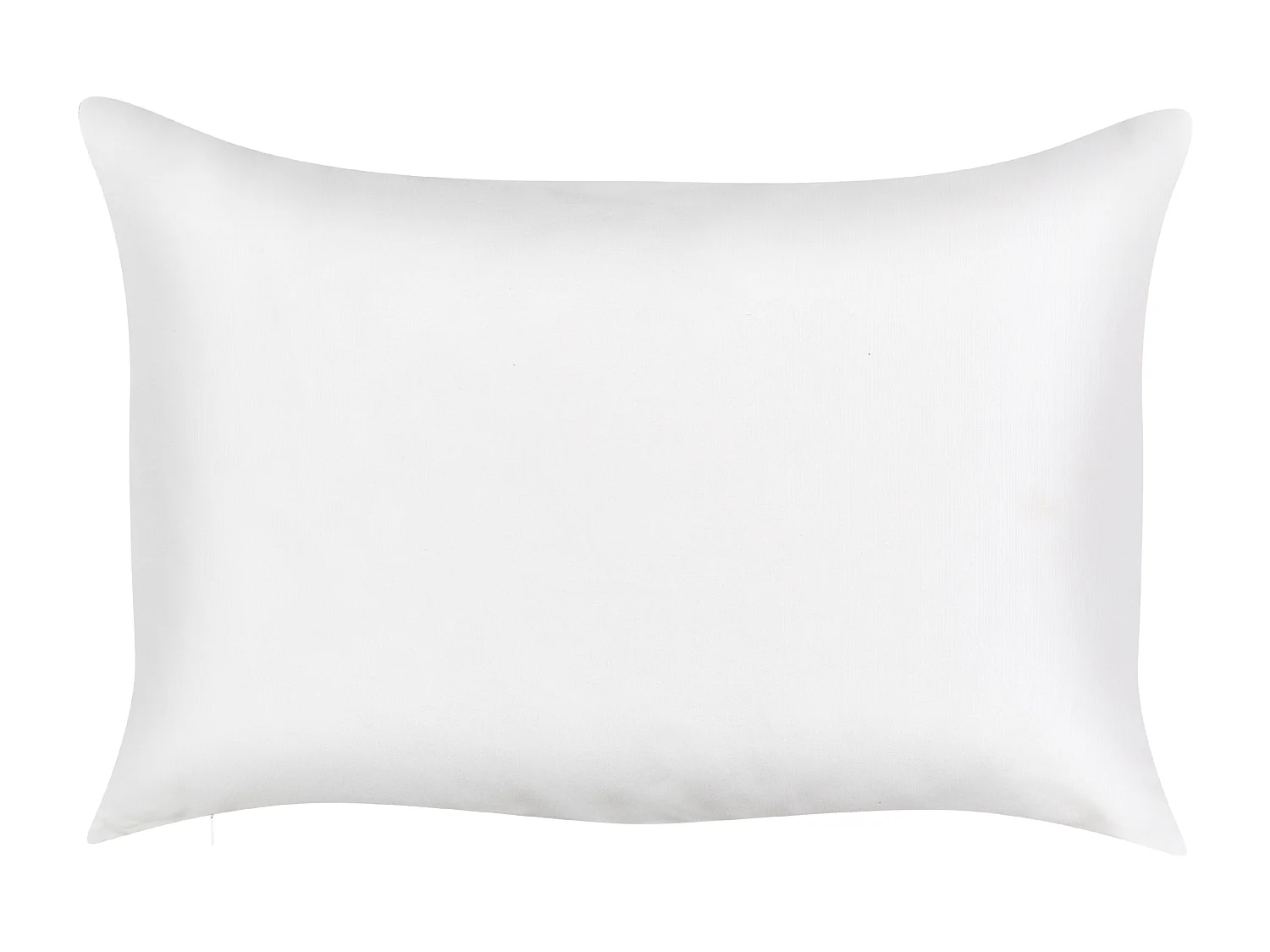 Lot de 2 coussins d'extérieur TORRAZZO Motif de plante 40 x 60 cm Blanc