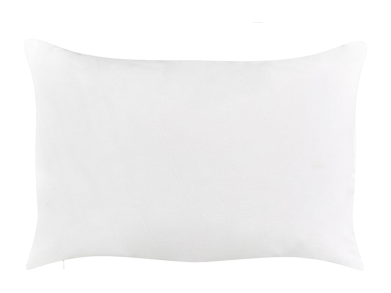Lot de 2 coussins d'extérieur TORRETTA Motif de plante 40 x 60 cm Blanc cassé