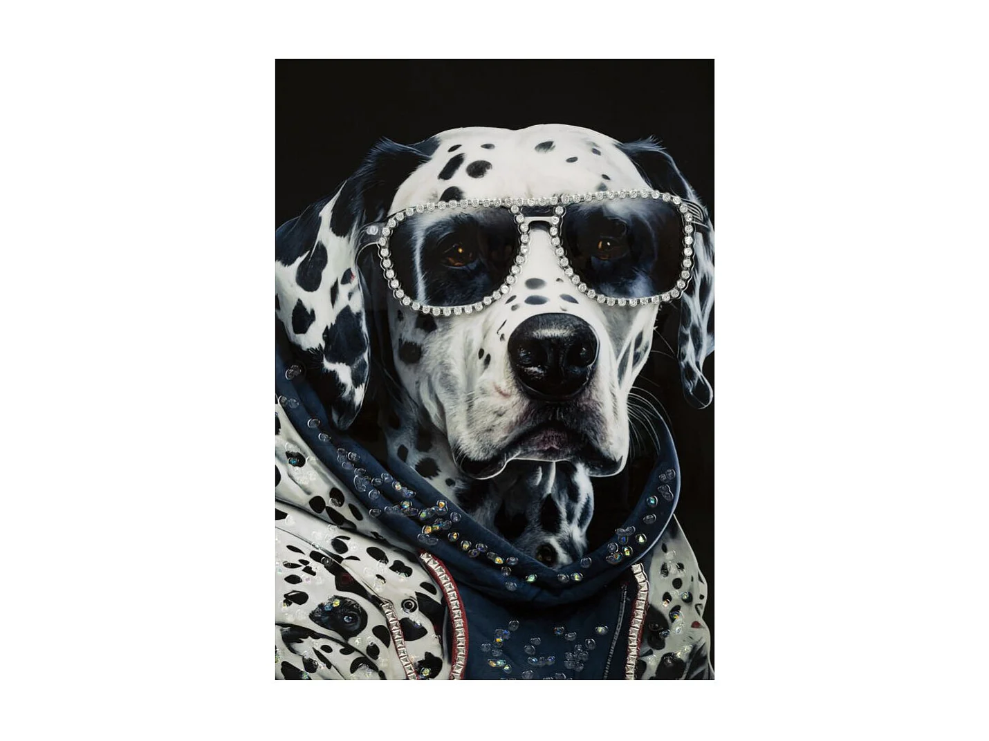 Tableau Imprimé Déco "Trap" 53x73cm Multicolore