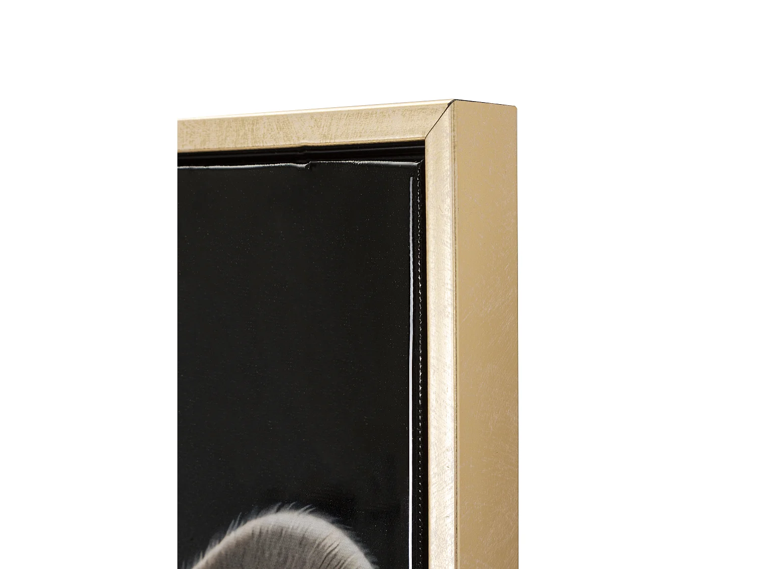 Tableau Imprimé Déco "Bad Bully" 42x82cm Multicolore