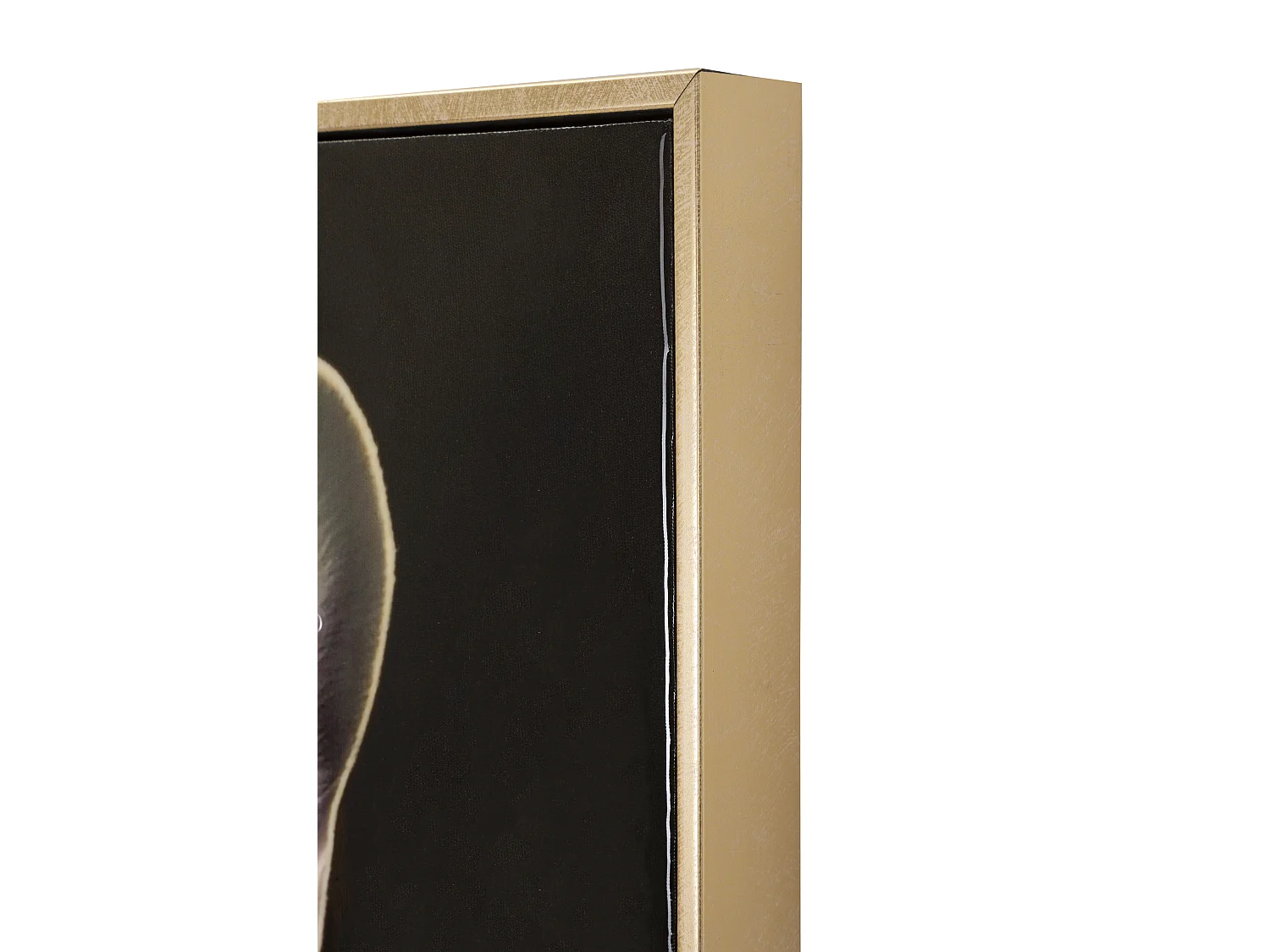 Dipinto su tela laccato con cornice cm 62x4x82