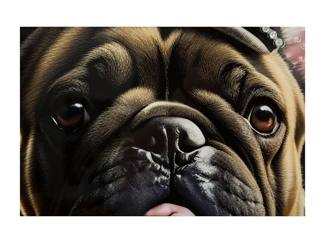 Tableau Imprimé Déco "Bully" 62x82cm Multicolore