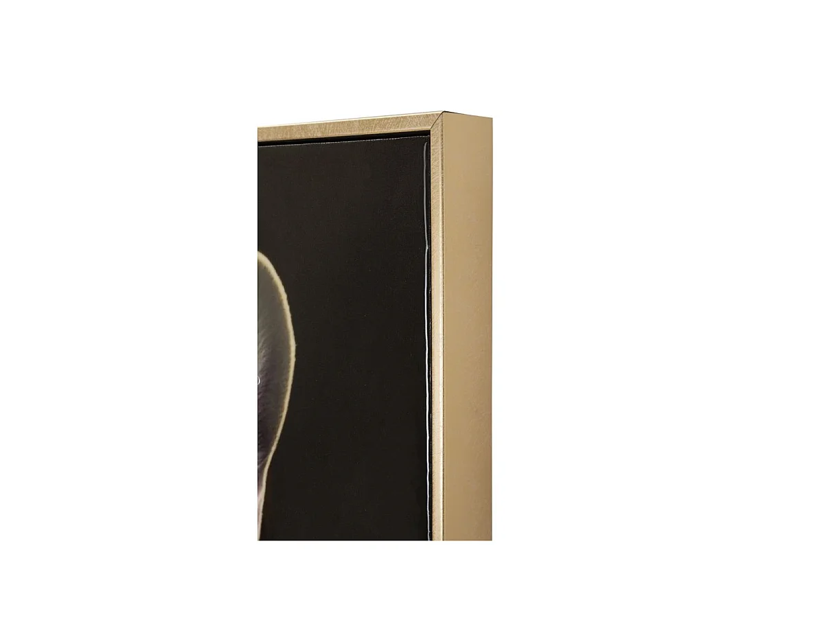 Dipinto su tela laccato con cornice cm 62x4x82