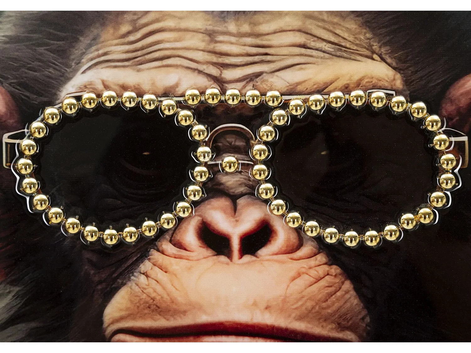 Tableau Imprimé Déco "Monky" 52x72cm Multicolore