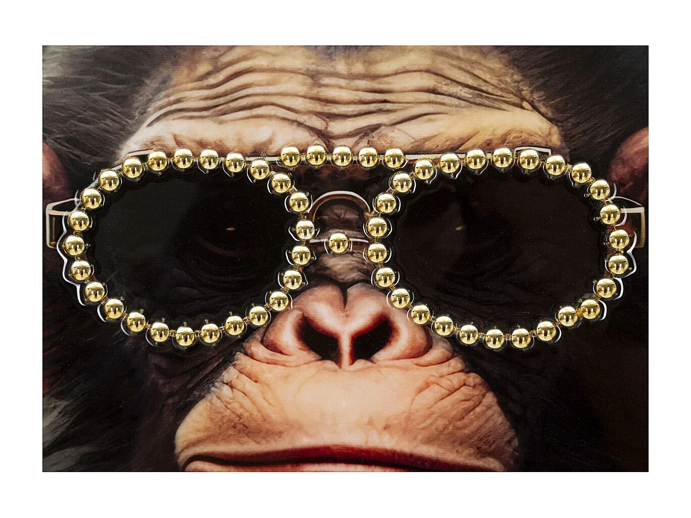 Tableau Imprimé Déco "Monky" 52x72cm Multicolore