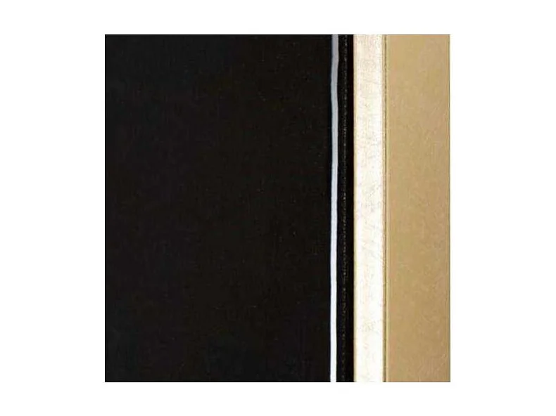 Dipinto su tela laccato  con cornice cm 42,5x2,8x82,5