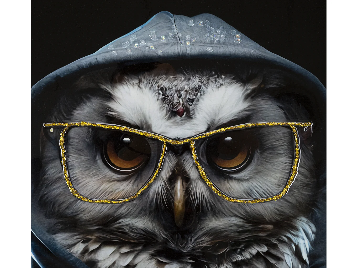 Tableau Imprimé Déco "Edvy" 53x73cm Multicolore