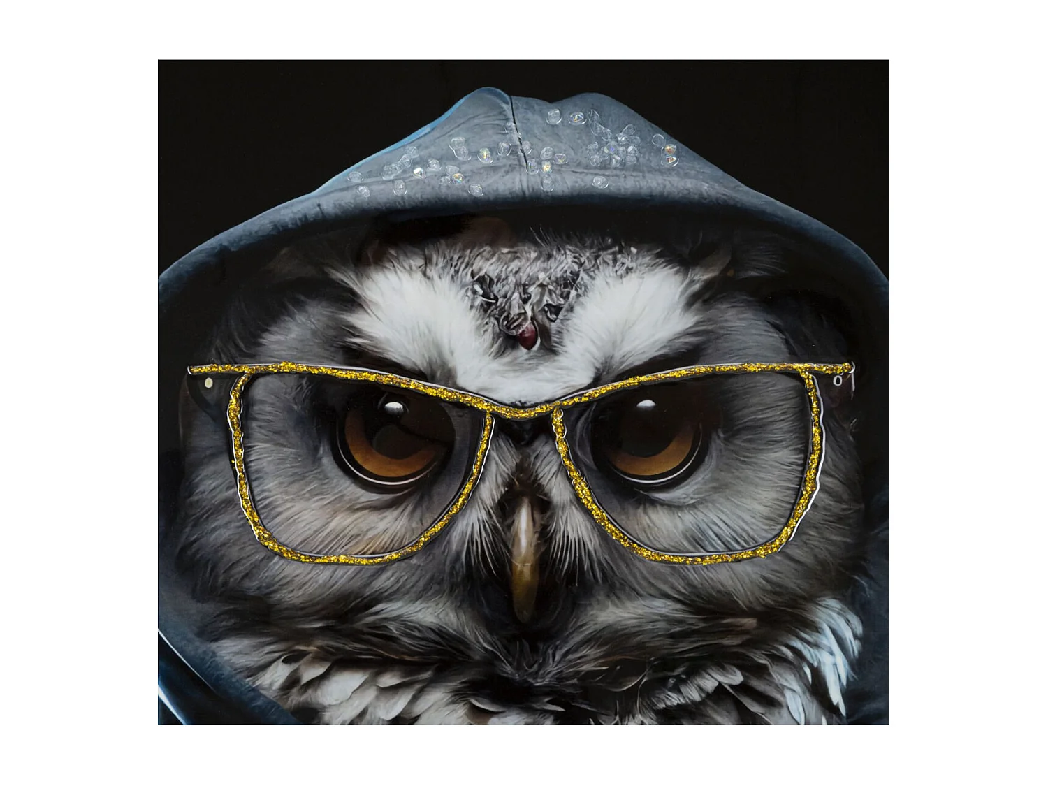 Tableau Imprimé Déco "Edvy" 53x73cm Multicolore