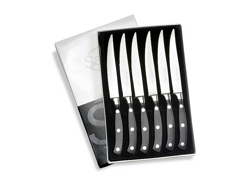 Nóż Kuchenny Ergoforge, Czarny, 2,3x16x25 cm, Sanelli