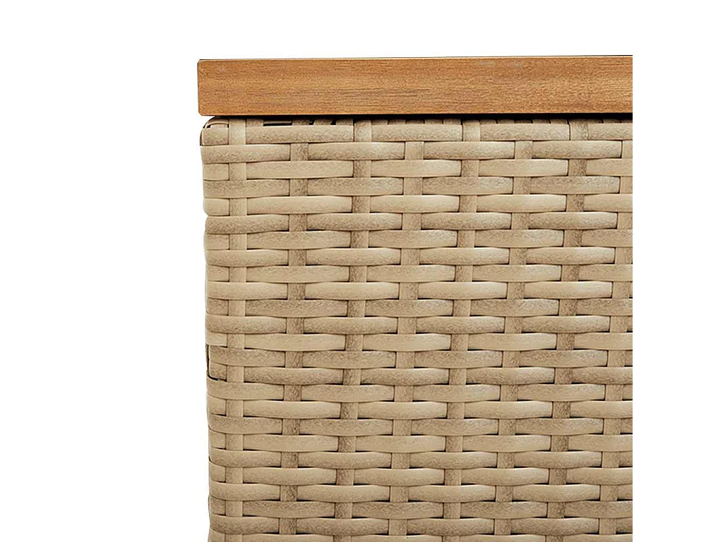 Caixa arrumação jardim 220x50x54 cm vime PE/acácia maciça bege
