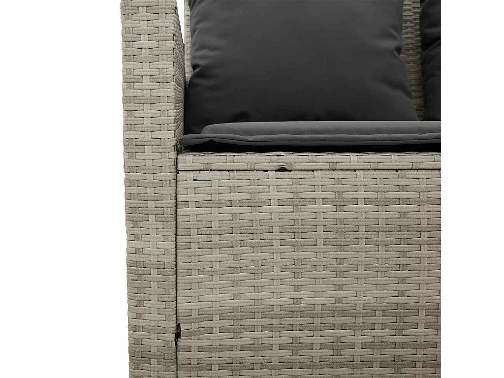 Canapé de jardin 2places coussins et table gris clair polyrotin