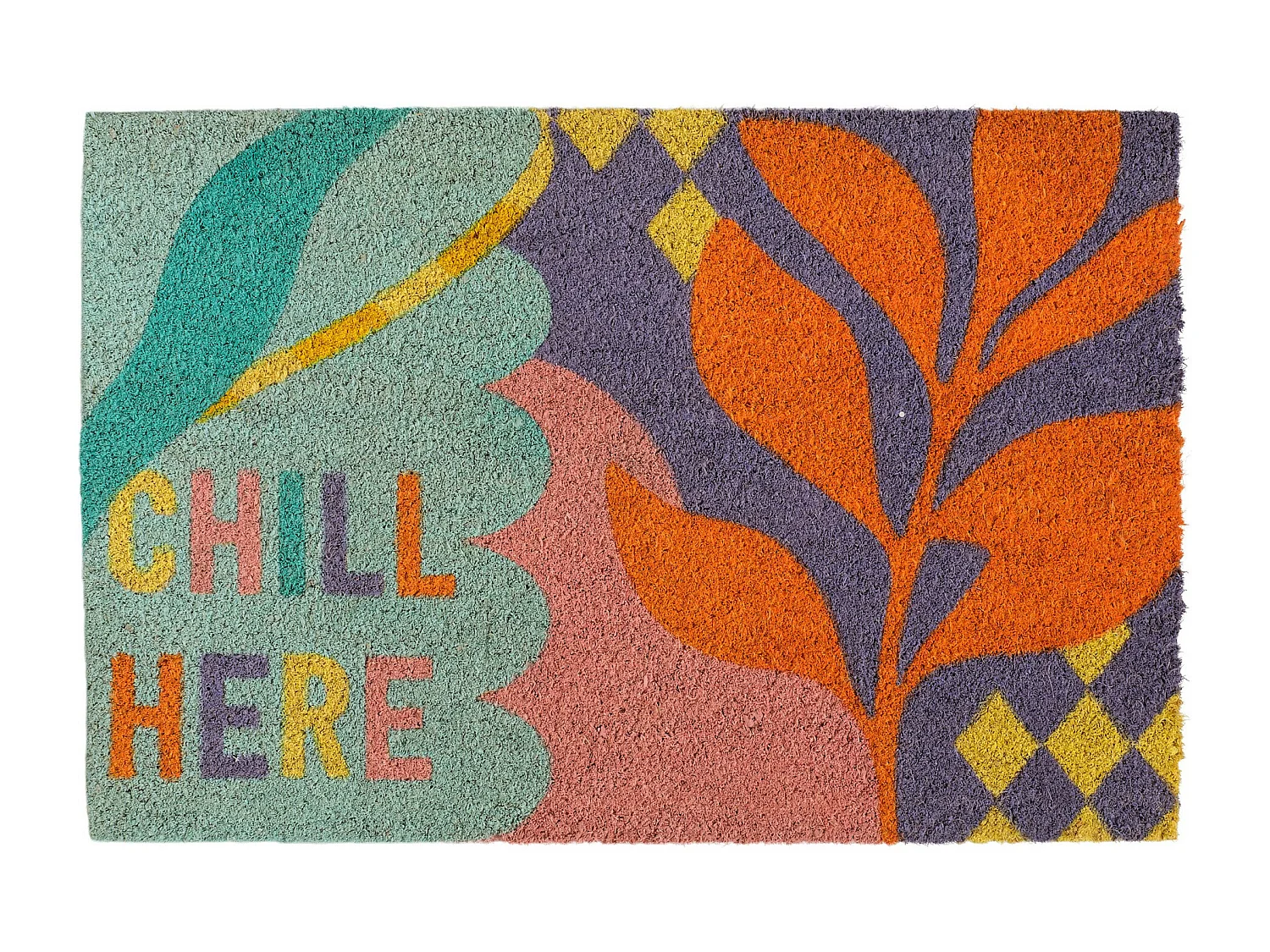 Fußmatte Chilly mittel mehrfarbig 40x60 cm