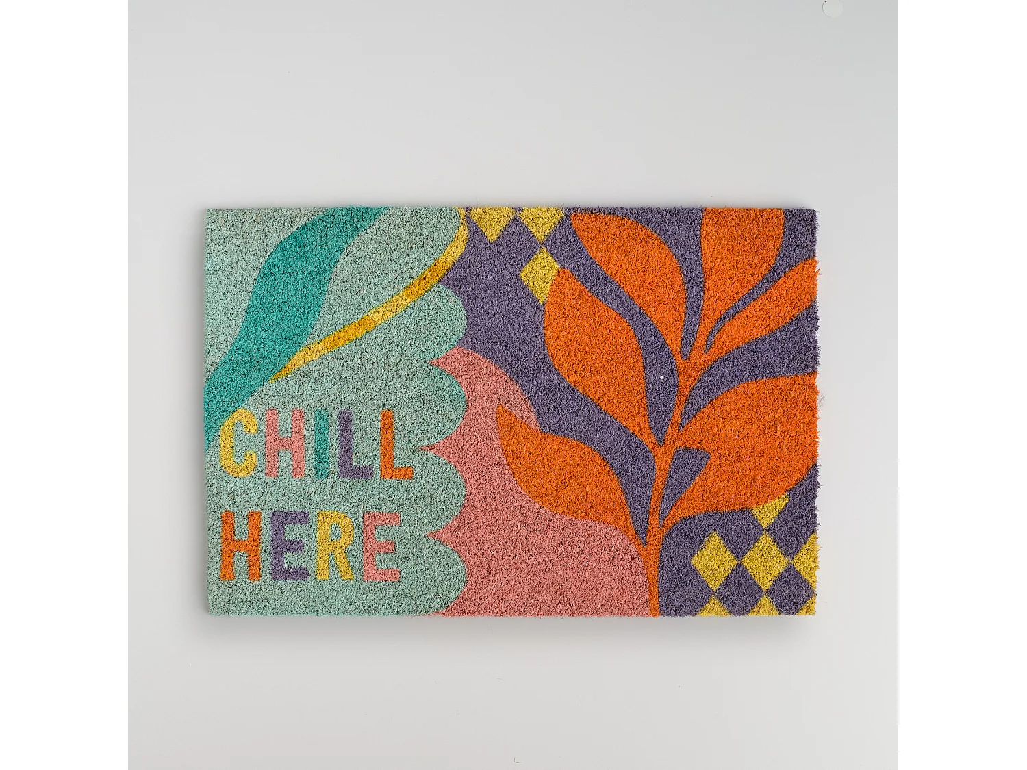 Fußmatte Chilly mittel mehrfarbig 40x60 cm