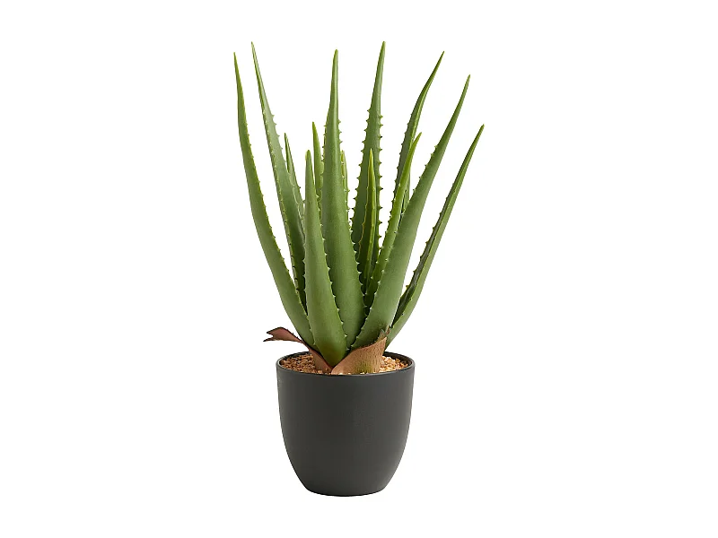 Herzstück Aloe mittelgrün 43 x 28