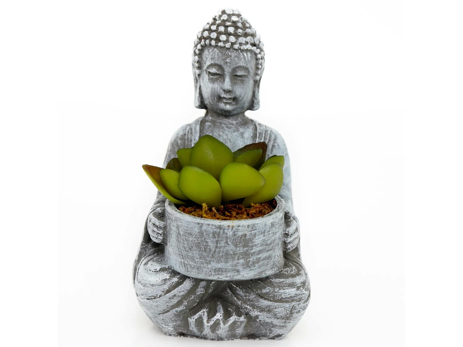 Bouddha pot avec succulente