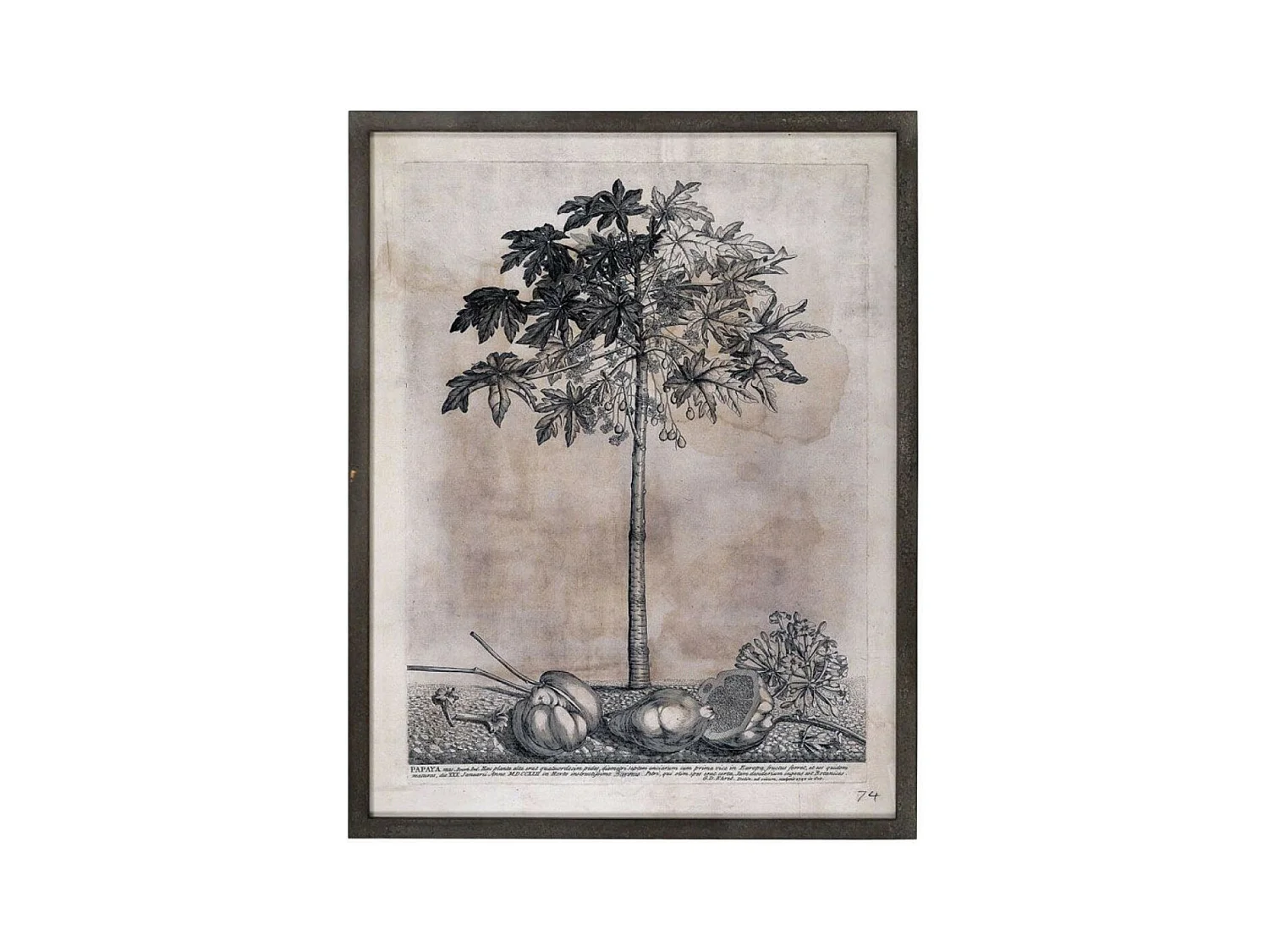 Tableau décoratif imprimé arbre 82x105 Bois Gris - Voyage Interior's
